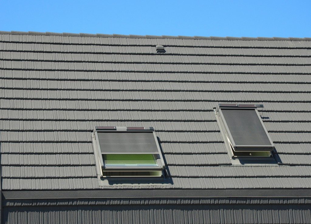 skylights on a home's rooftop