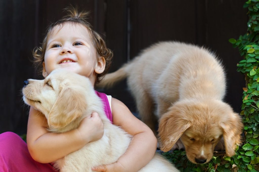 kid with dogs