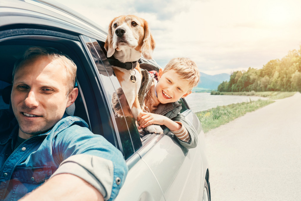 family and pet dog roadtrip