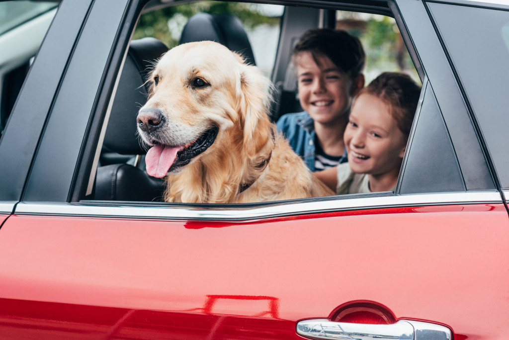 A family vehicle with their dog