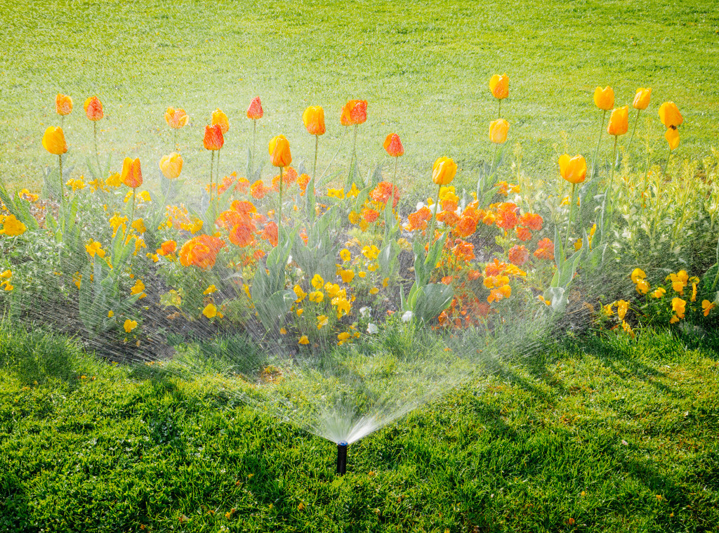 A water sprinkler watering flowers and grass in a lawn
