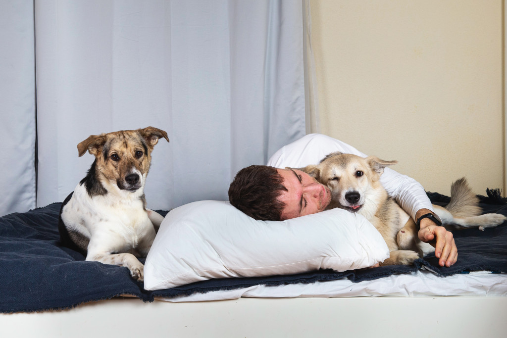 man lying with two dogs in his bed