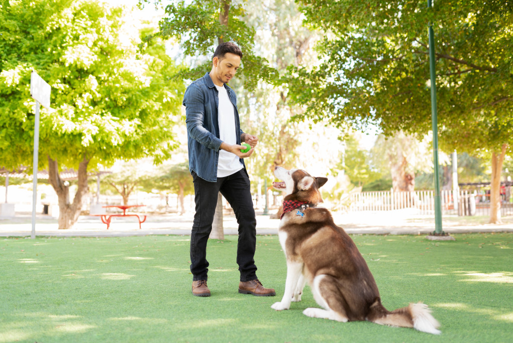 dig owner with husky or big dog in open park