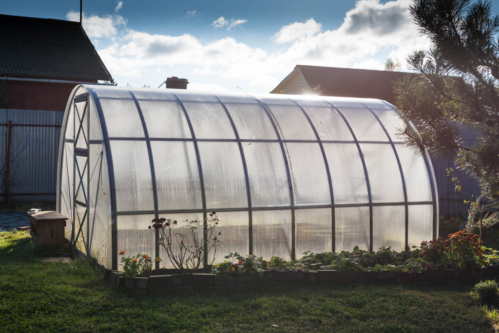 A small greenhouse