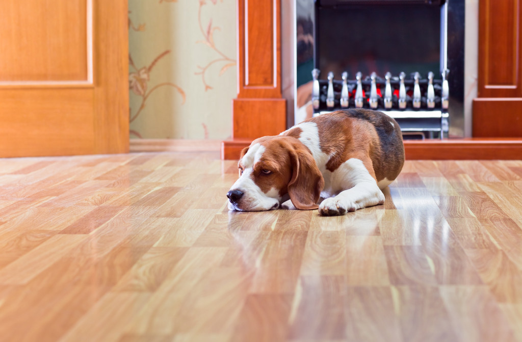 A sleepy dog on the floor near the fireplace