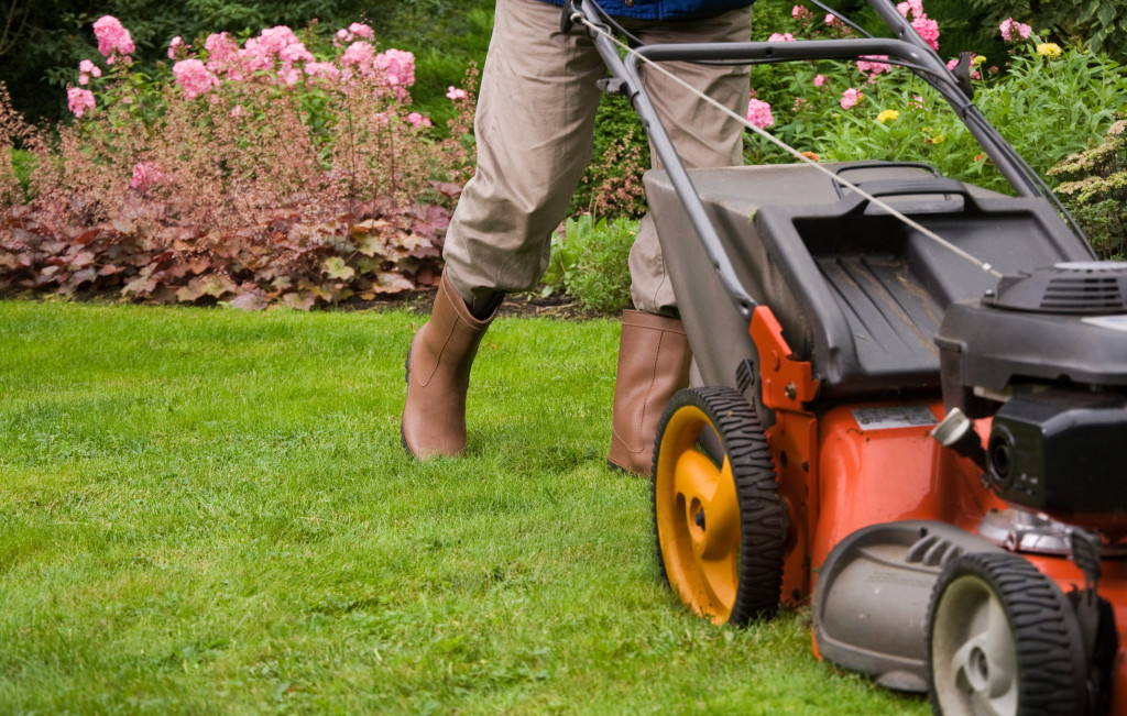 Creating landscaping for outdoor area