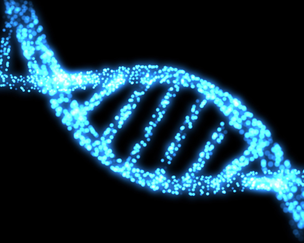 DNA strand genetics