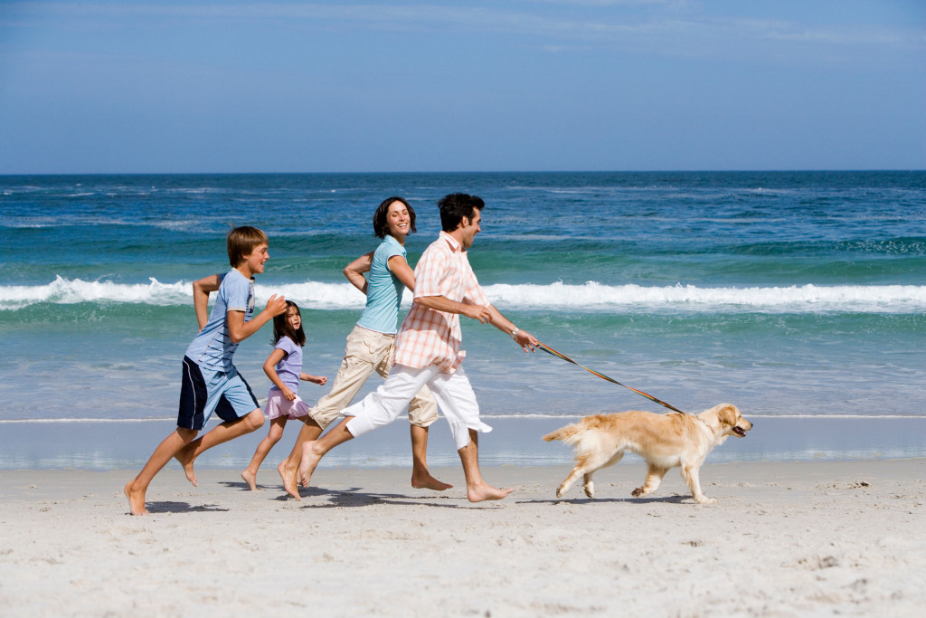 family running at the shore with their pet dog
